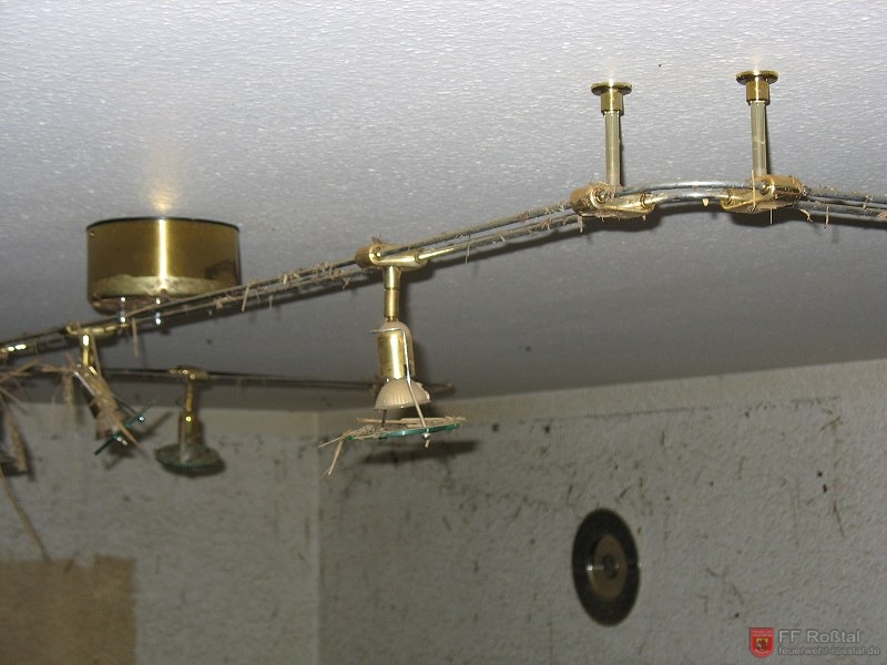 Bild 9 von 12 Grashalme h&auml;ngen in der Deckenbeleuchtung