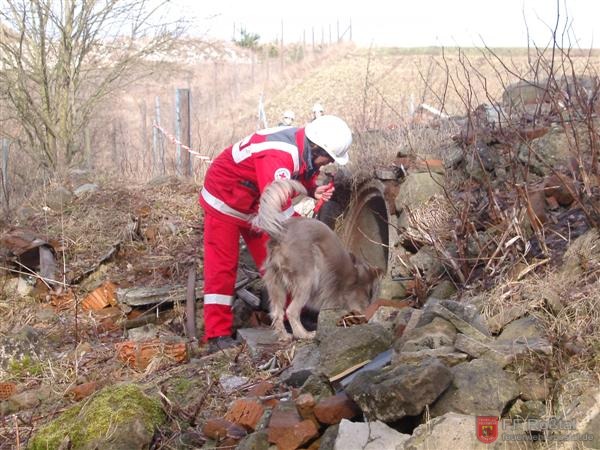 Bild 3 von 25 Eine weitere Person wurde aufgesp&uuml;rt.