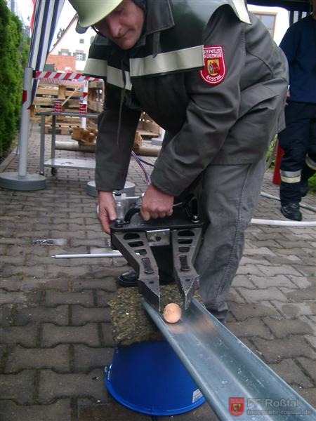 Bild 5 von 10 Als n&auml;chstes wird das Ei in einer Rinne abgelegt ...