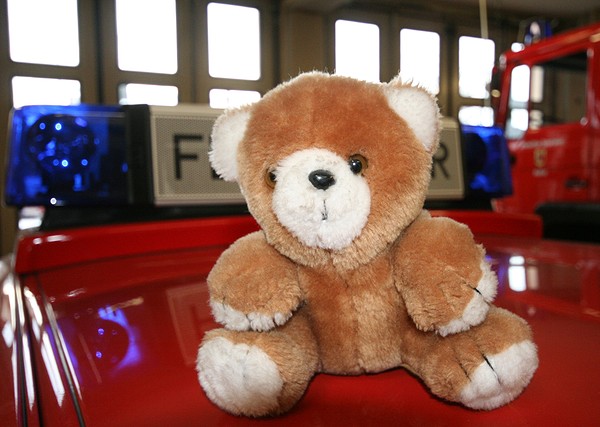 Bild des/der Ausrüstungsgegenstands/-gegenstände (Stofftier)